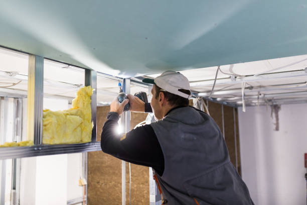 Best Best Insulation Companies  in Springfield, SD