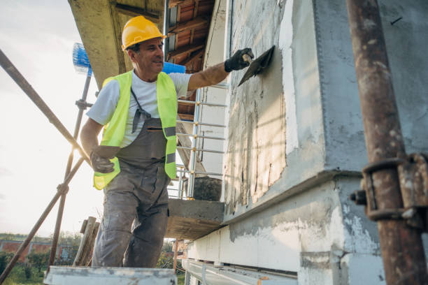 Best Cellulose Insulation  in Springfield, SD