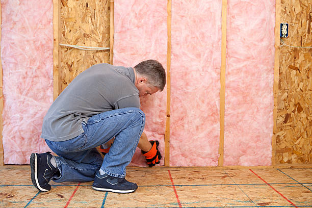 Best Wall Insulation Contractor  in Springfield, SD